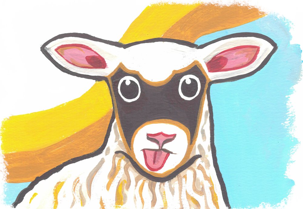 A sheep with a dark face sticking out its tongue